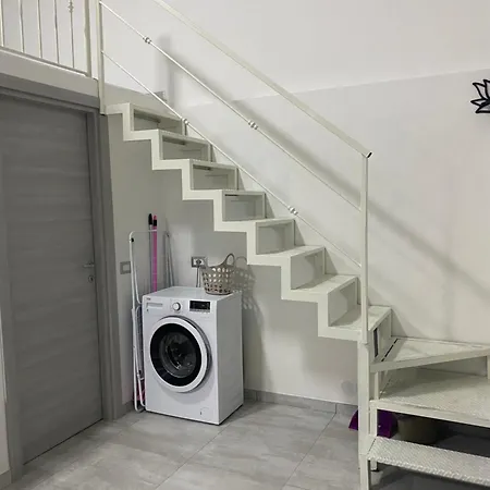 Emotions Of Nyaraló